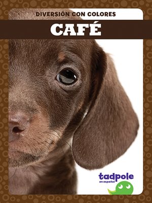 cover image of Café (Brown)